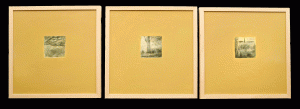 Triptych 16" X 16" $375 framed